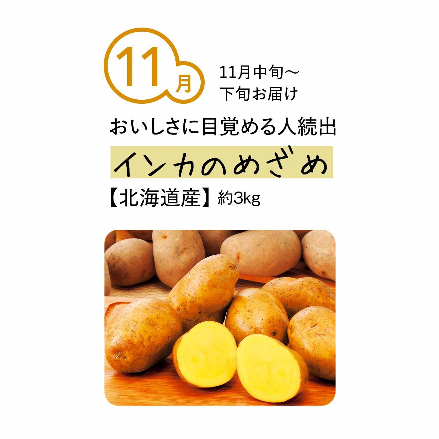 純農の特急便|純農 北海道を食べ比べ！ ほくほくもねっとりも楽しめる ごちそうじゃがいも たっぷり3kg（6ヵ月コース）|「もうインカのめざめしか食べられない！」というほどの熱烈ファンも多い品種。さつまいもや栗のように甘く、ねっとりとした食感。JA幕別ではいち早く栽培に乗り出し、全道一の栽培量を誇っています。糖度が非常に高く、鮮やかなオレンジに近い濃黄色も特徴的です。