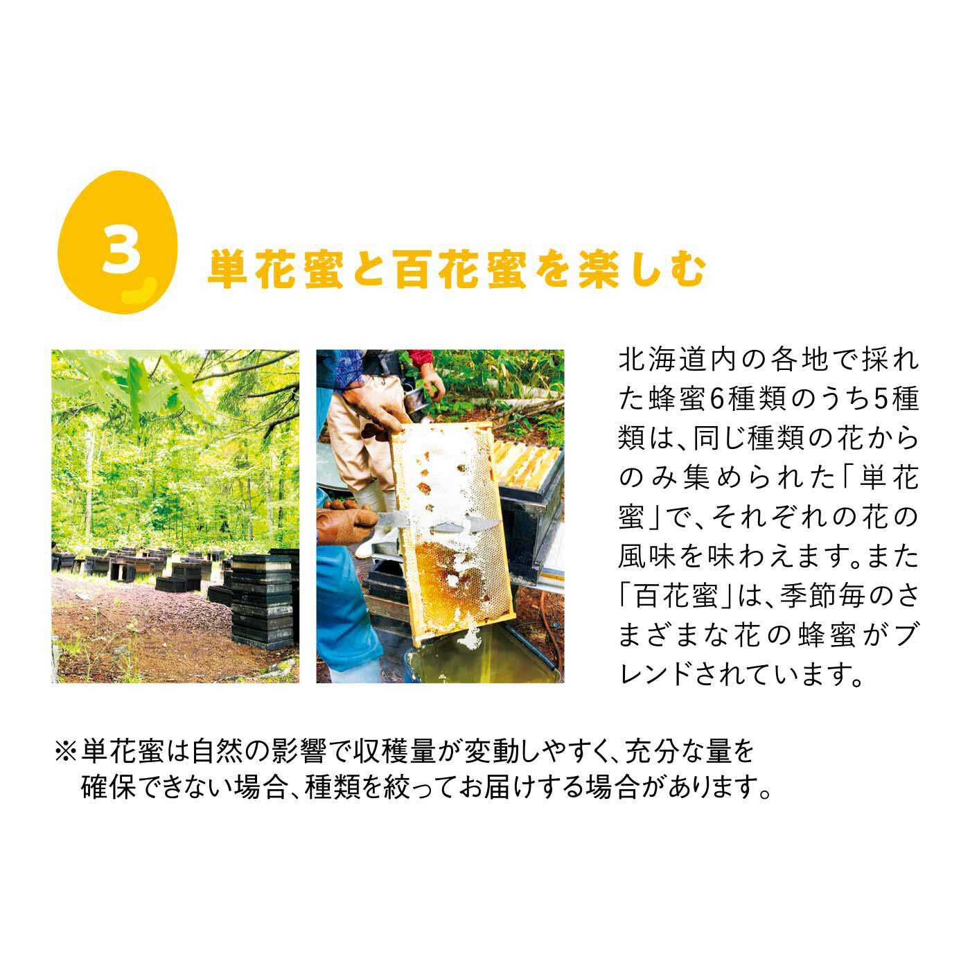 純農の特急便|特急便でお届け☆心もうるおう完熟ハチミツ（スティック）〈ルドベキア・菩提樹〉
