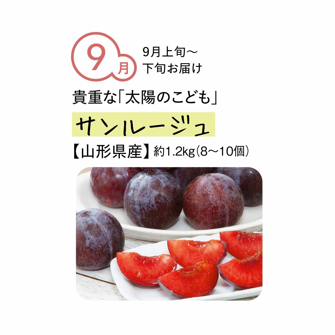 純農の特急便|【締め切り6月9日】純農 夏のカラダに甘酸っぱい贈りもの！ 多品種を味わう ジューシーすもも たっぷり1kg以上（4ヵ月コース）|希少な高級フルーツとしても注目される、初秋ごろに旬を迎える晩生品種。濃厚な甘みと、すももらしい適度な酸味が、まだ暑さの残る初秋にぴったりの果物です。上品な濃色の見た目も食欲をそそります。