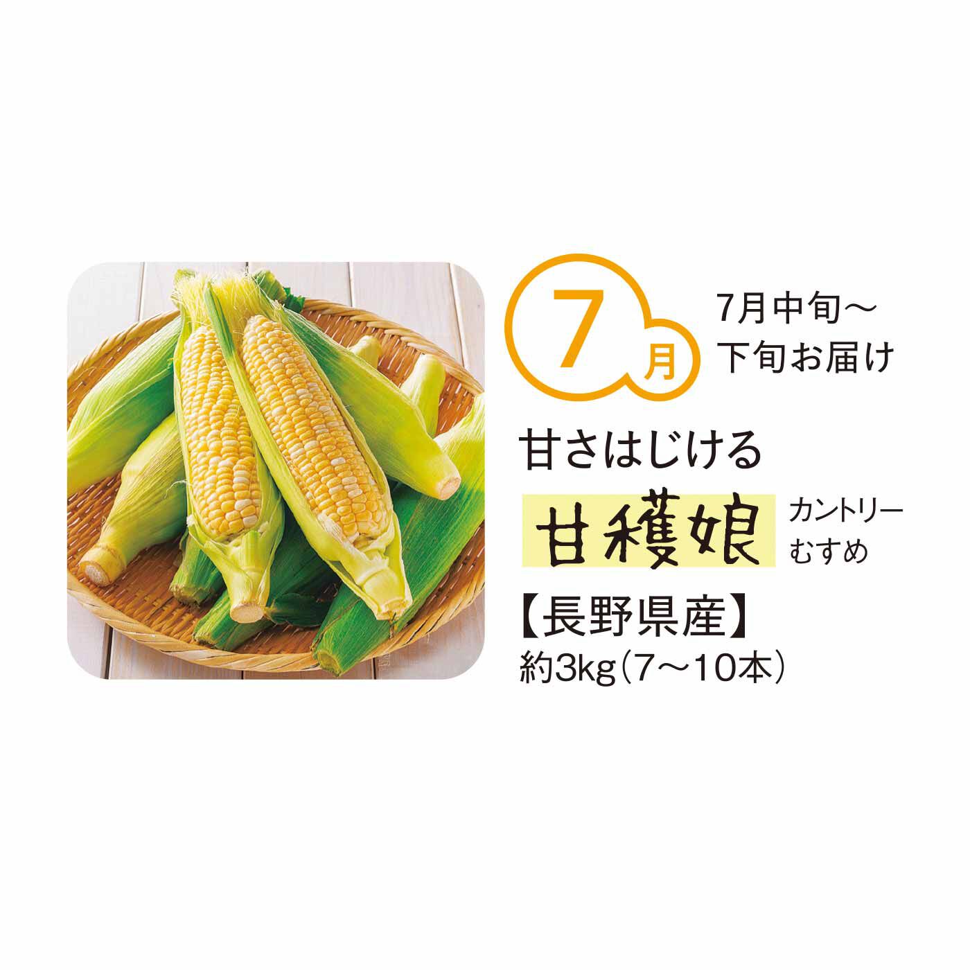 純農の特急便|【締め切り6月9日】純農 甘味と旨みが押し寄せる！ 毎年大人気のとうもろこし たっぷり3kg（4ヵ月コース）|粒がやわらかく、甘みが強いと人気！寒暖差の大きい信州の高冷地で栽培された、糖度が高い黄色＆白色のミックスの品種です。