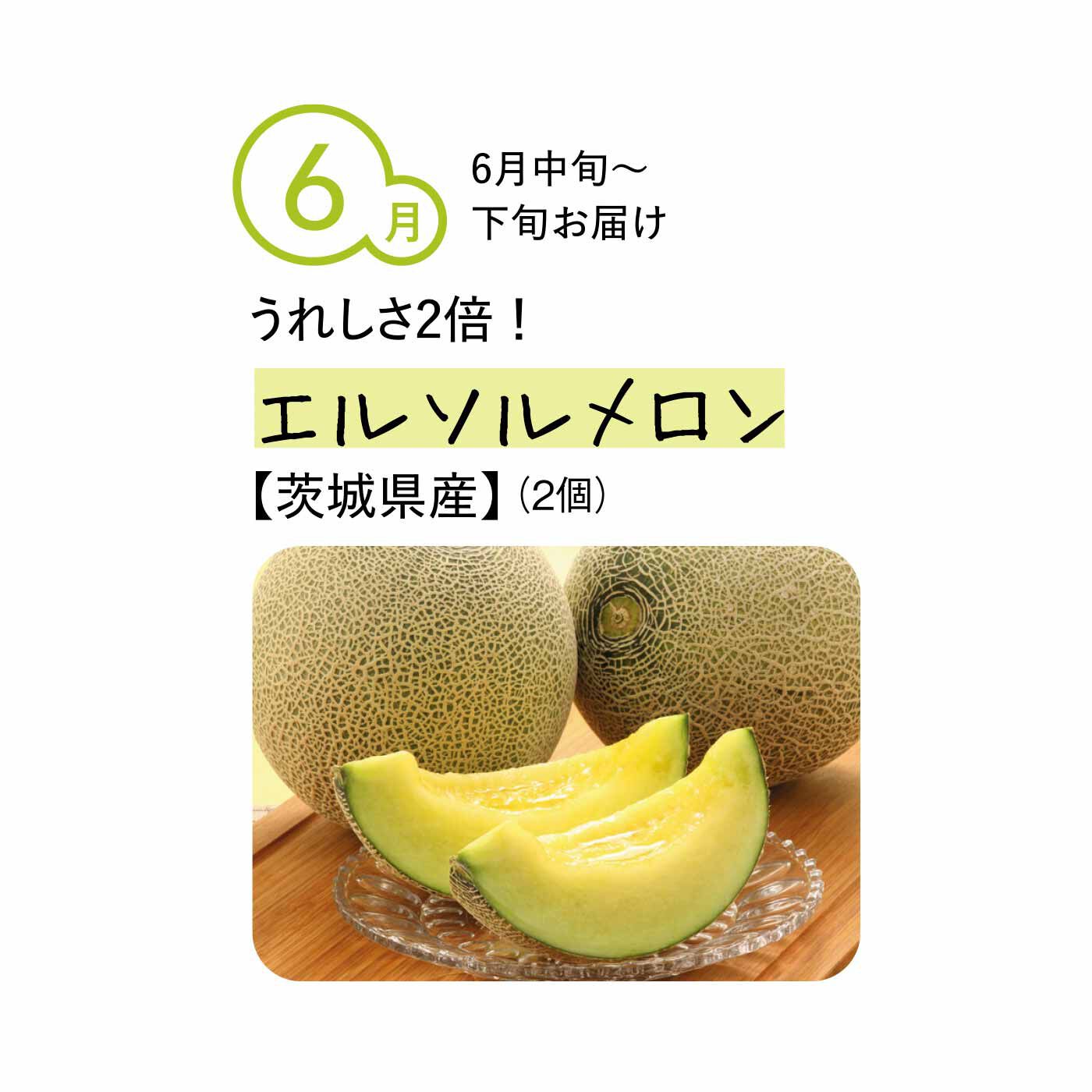 純農の特急便|【締め切り6月9日】純農 おうちでフルーツパーラー気分！ スプーンですくうときめき 選り抜きゼイタクメロン（4ヵ月コース）|スペイン語で太陽を意味する「el sol」が由来。豊かな甘みで後味はすっきりさわやかな青肉メロン。2個セットでお届けするので、1個はシンプルに味わい、もう1個は前菜やスイーツにアレンジしても。
