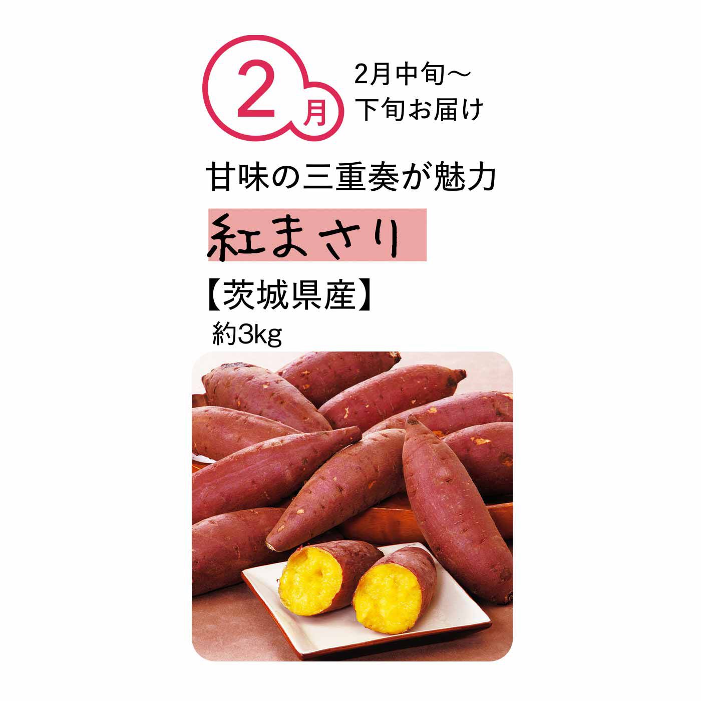 純農の特急便|純農 まるでスイーツみたいな焼き芋を楽しむ！ ごちそうさつまいも たっぷり3kg（7ヵ月コース）|水はけのよい火山灰土と温暖な気候が育んだ、ほどよいしっとり感とほくほく感のバランスが魅力。ぶどう糖、麦芽糖、ショ糖の甘味の三重奏で、上品な甘みが際立ちます。