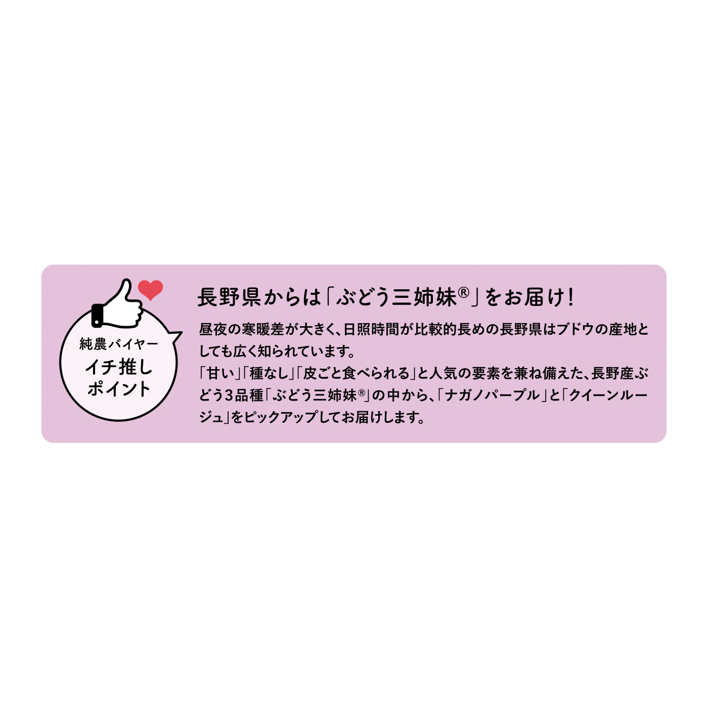 純農の特急便|【締め切り6月9日】純農 定番人気から希少品種まで 気品漂う 粒ぞろいの口福大粒ぶどう〈秀品〉（5ヵ月コース）