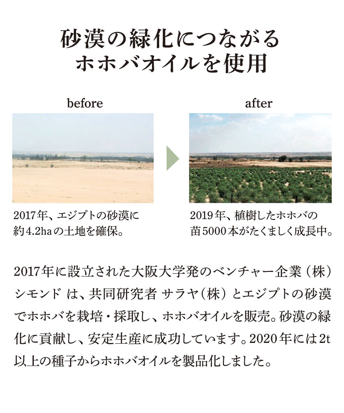 el:ment|el:ment　ピンタック入りですっきり見え　さらり心地のコットンリネンワイドパンツの会