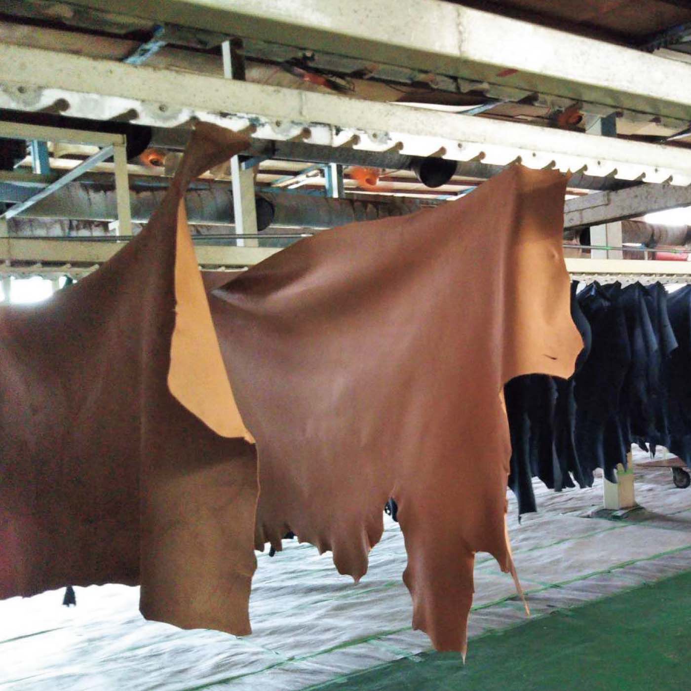 el:ment［エルメント］|el:ment　味わい育てるしなやか姫路レザー キーチェーン付きＬ字ミニ財布の会|気候や革の特性に合わせて、職人さんが時間を調整し、乾燥させています。