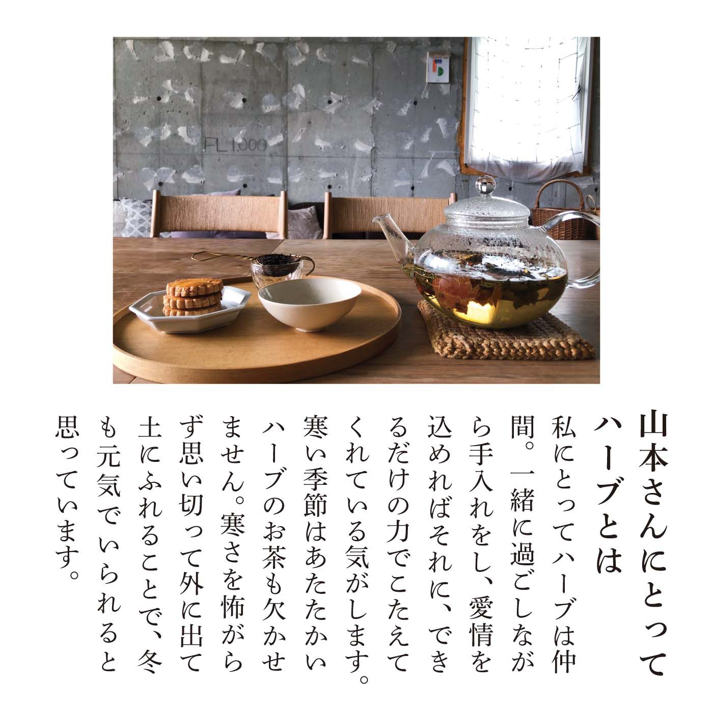 el:ment|el:ment×山本祐布子　あたためハーブ柄をまとうかかとつま先シルク混で編み立てた コットン混タイツの会　