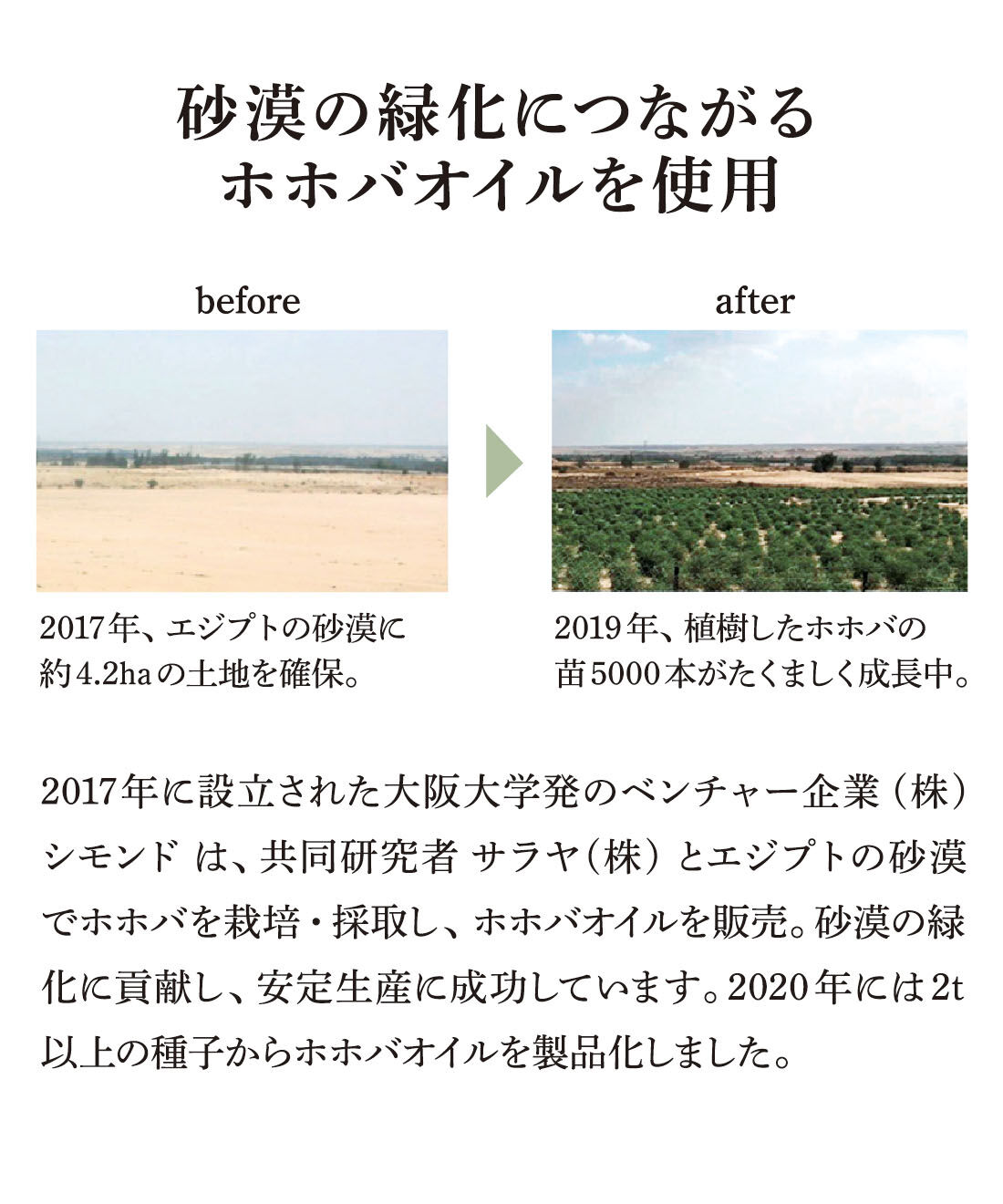 el:ment|el:ment　透かし編みが華やぐ　さらり滑らかコットンレーヨンのニットトップスの会