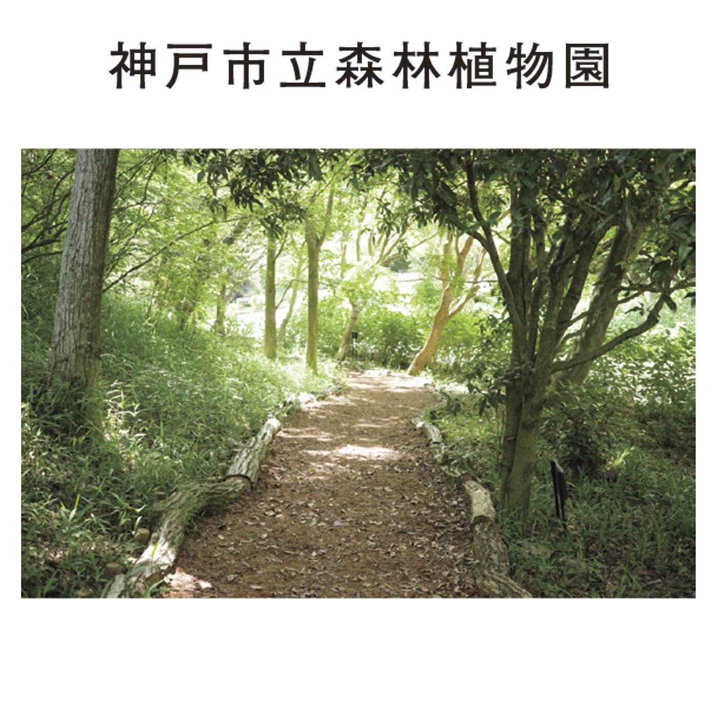 el:ment［エルメント］|絶滅危惧植物のサンショウバラの刺しゅうが華やぐ　ネパールの職人が織り上げた軽やかヤクウールストール|1940年に創設された総面積142.6haの樹木を展示する植物園です。六甲山地の西部に位置し、六甲山をはじめ、日本の代表的な樹木や世界各地の樹木を原産地別に約1,200種（うち500種は外国産）植栽しています。風景を楽しみながら日本や世界の森を巡り、早春の花々・春のツツジ・シャクナゲ、初夏のアジサイ、秋の紅葉、冬の木立ちと四季折々の森の自然をお楽しみいただけます。森林浴をはじめ環境学習や自然観察など楽しい一日をお過ごしください。