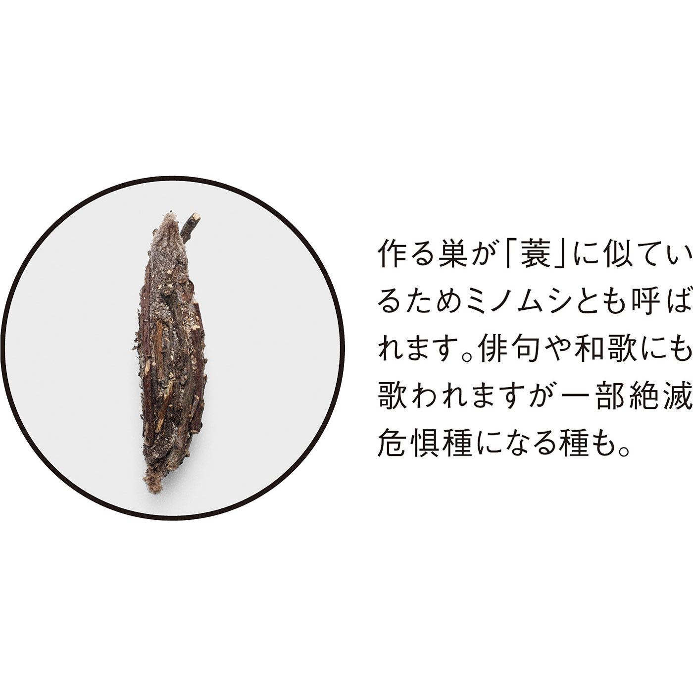 ミュージアム部|ミュージアム部　あたたか巣ごもり ミノムシペットボトルカバー