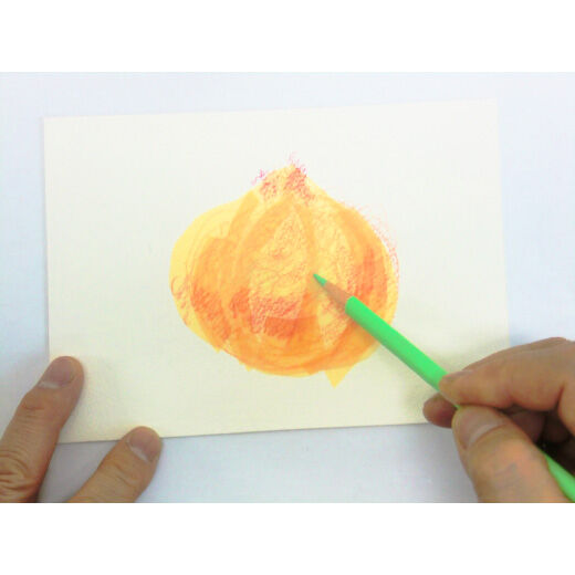 ミニツク特急便|脳がめざめるお絵かきプログラム　色えんぴつ編用　紙セット２「トレーシングペーパーに描く玉ねぎ」