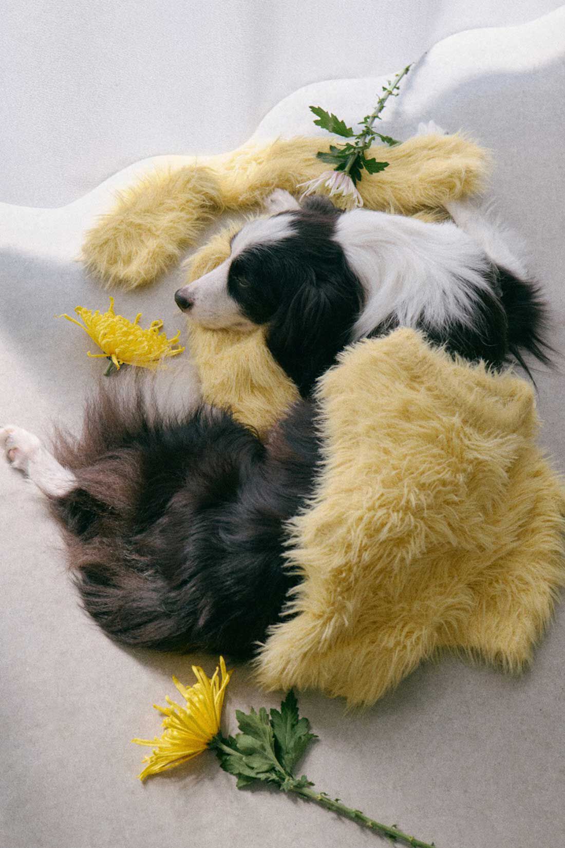 haco!|ｈａｃｏ！×ＮＯＫＩ 花をまとうコラボシリーズ【糸菊】ふわっふわのニット＆アームウォーマー