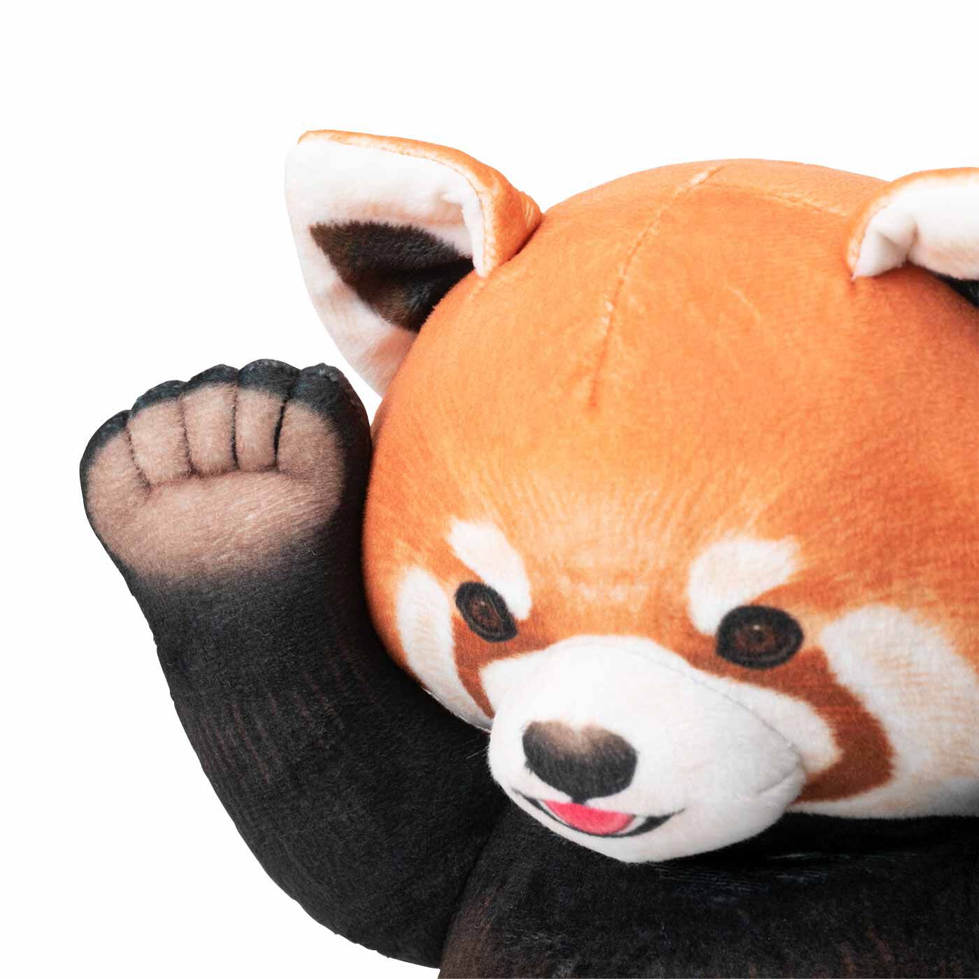 フェリシモギフトショップ|YOU+MORE!　レッサーパンダに威嚇される お昼寝クッション
