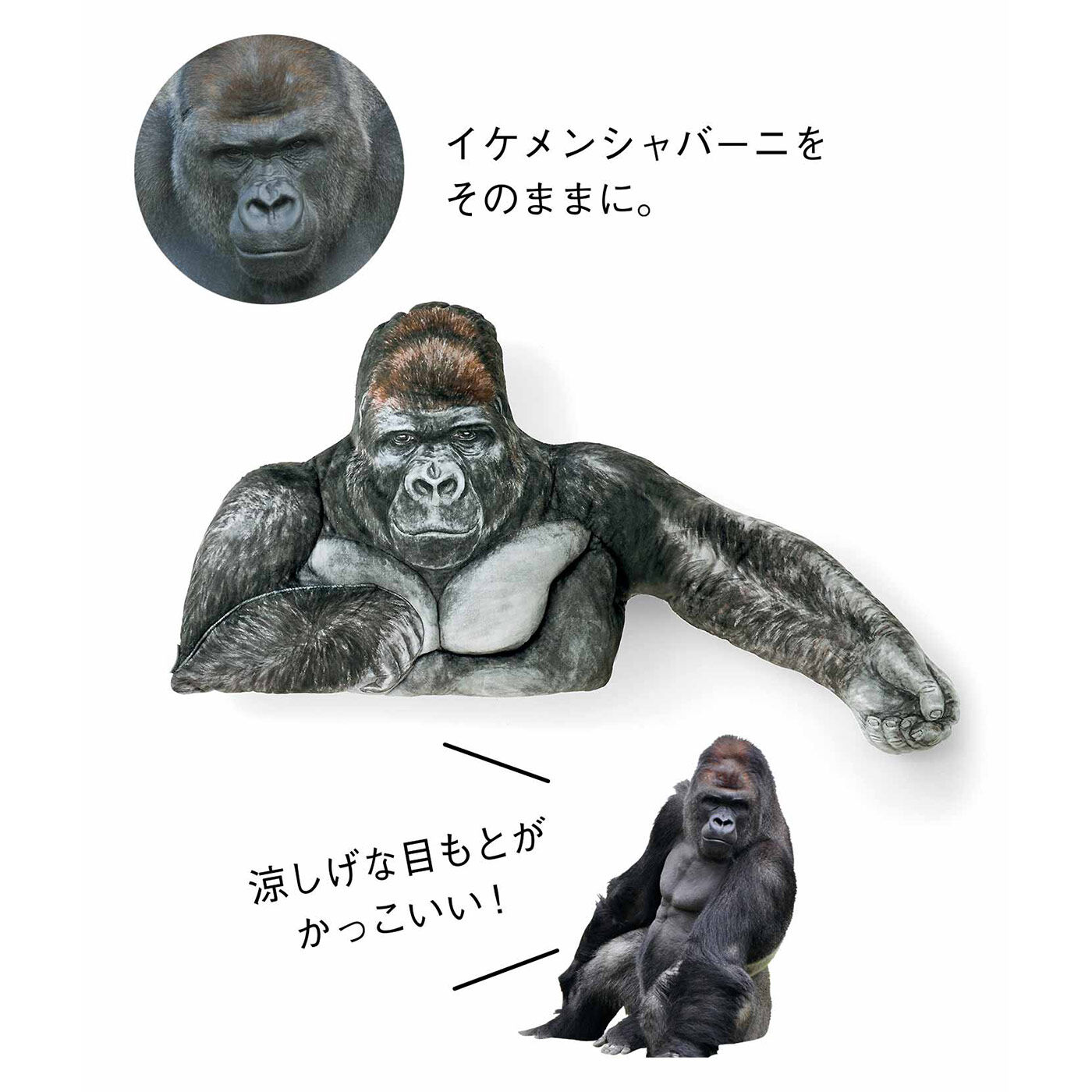 フェリシモギフトショップ|YOU+MORE!　強さとやさしさをあわせ持つ ニシゴリラ シャバーニのたくましい腕枕クッション