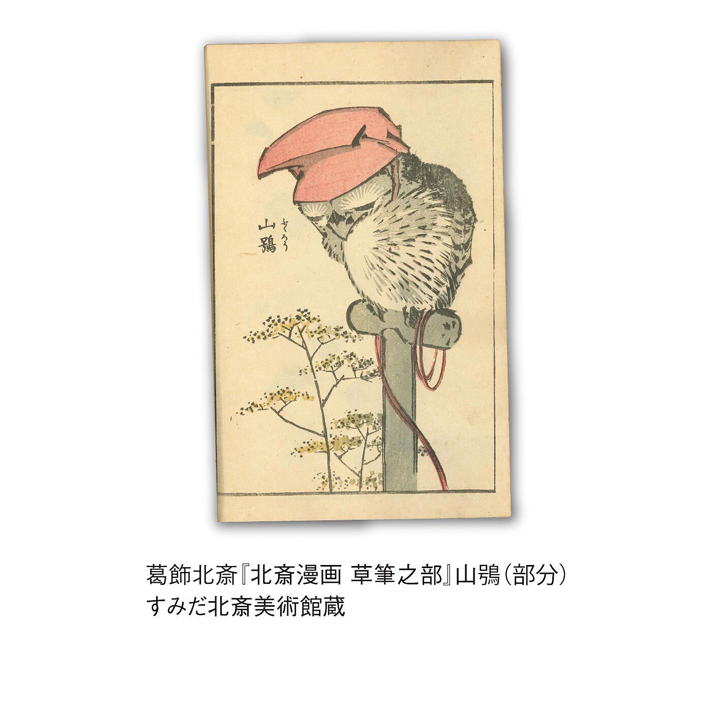 フェリシモギフトショップ|すみだ北斎美術館×ミュージアム部　つられて眠くなっちゃう　北斎の居眠りふくろうポーチ