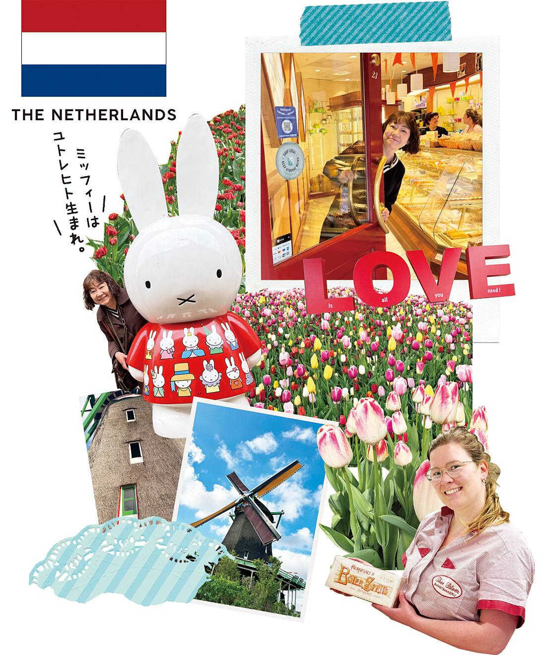 フェリシモギフトショップ|【幸福のチョコレートselect】テオ ブロム　シークレットエクケール