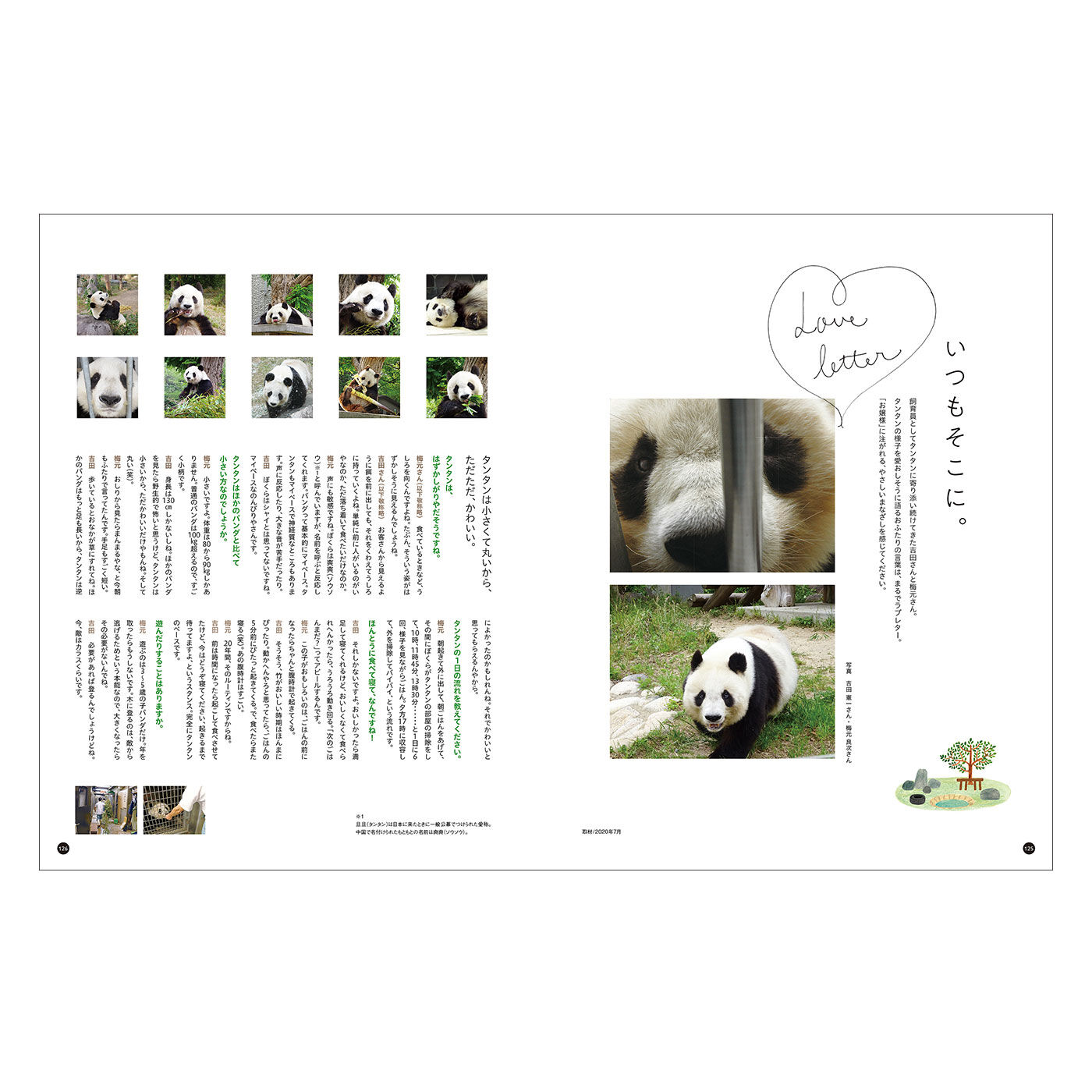 フェリシモギフトショップ|YOU+MORE!　写真集『神戸市立王子動物園のシャイなパンダ　タンタン』|飼育員さんにタンタンについてお聞きしたインタビューページはまるでラブレターのよう。