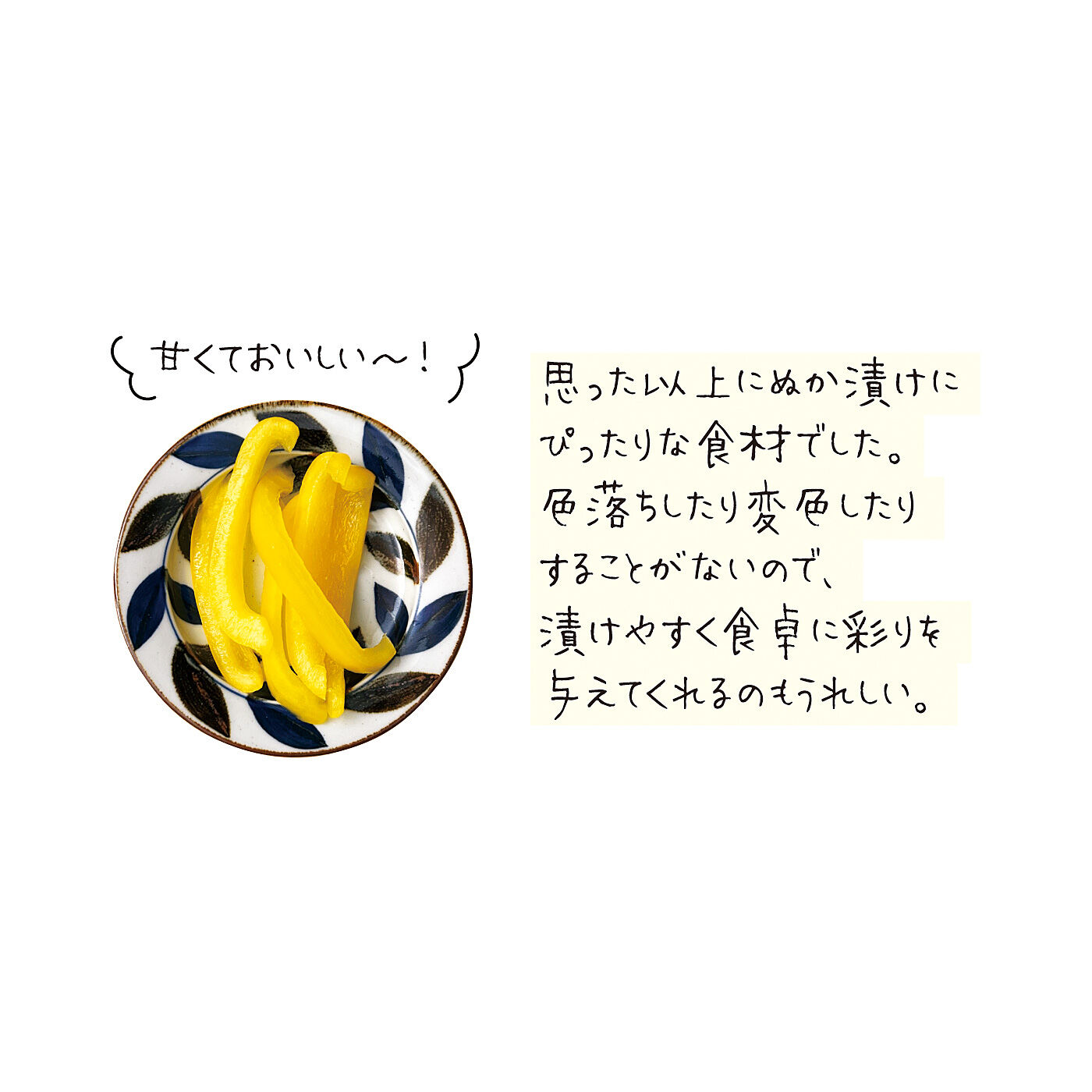 フェリシモギフトショップ|ラップで手軽にぬか漬けができる　ぬかどこチューブ〈２本〉