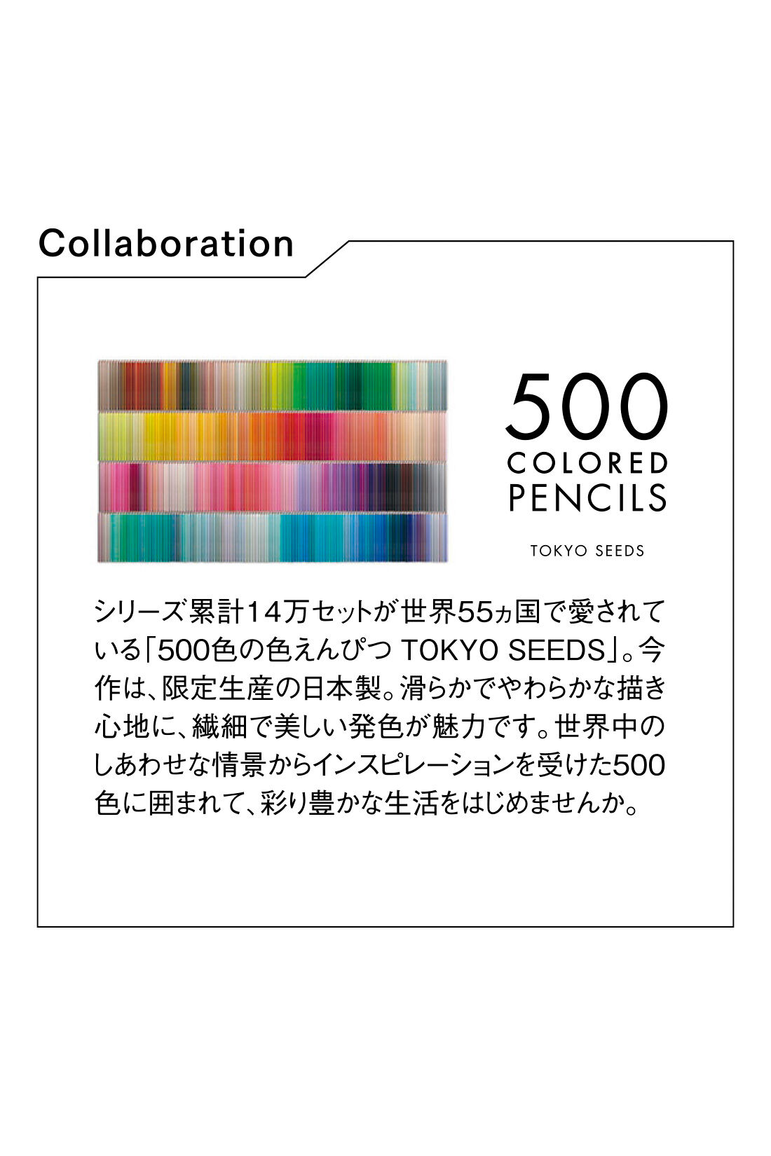 Live in  comfort|リブ イン コンフォート×500色の色えんぴつコラボ 刺しゅうリブソックスの会