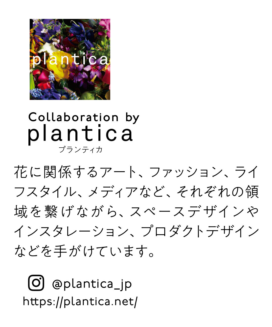 Live in  comfort|リブ イン コンフォート×plantica 美しく咲き誇る コットンTシャツ by LOVE＆PEACE PROJECT〈ホワイト〉