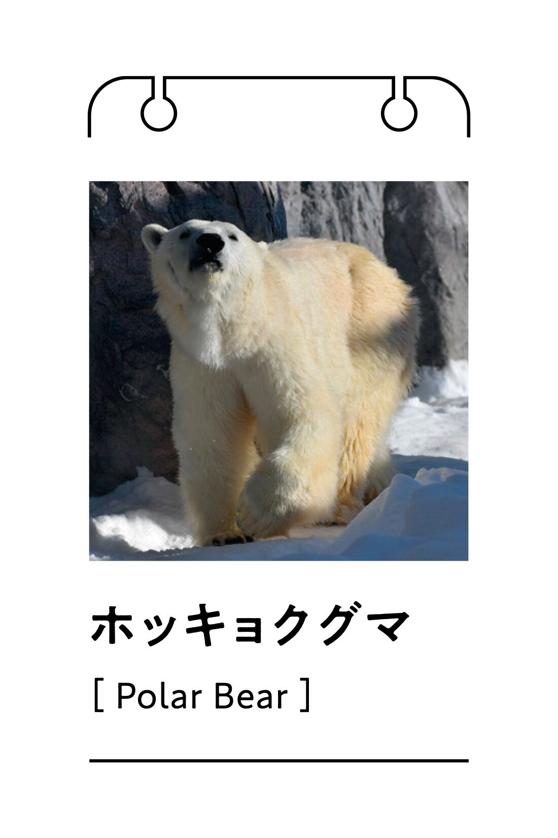 Live in  comfort|旭山動物園・ボルネオの森応援商品　冬の動物園でも寒さ知らず！ ホッキョクグマみたいなふわふわ 裏ボアワイドパンツ〈アイボリー〉