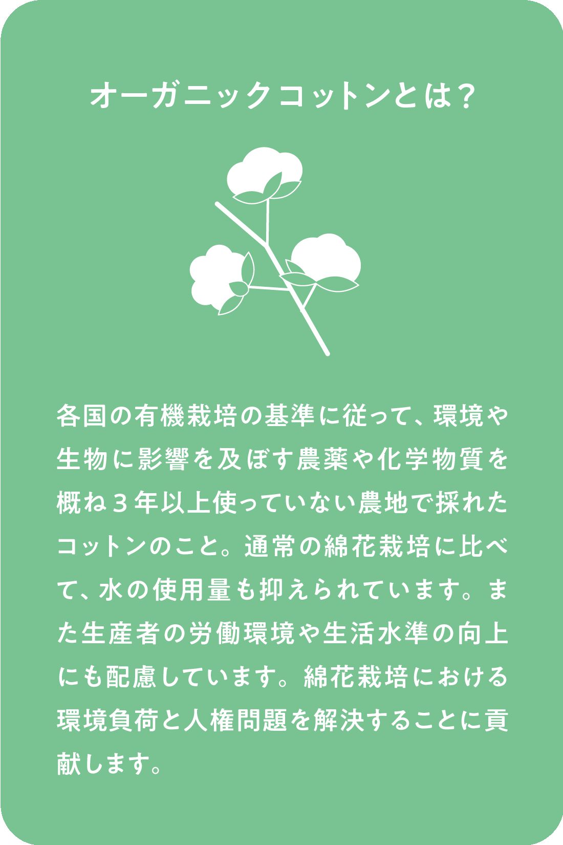 Live in  comfort|Live love cotton（R）プロジェクト リブ イン コンフォート 一枚でサマになる袖布はく ボーダートップス〈ホワイト×ブルー〉