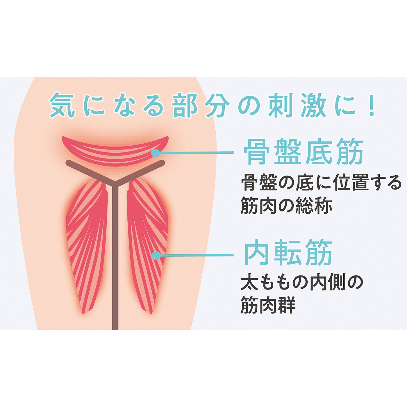flufeel|鍛えよう！ 骨盤底筋＆内転筋　３D立体ゲルクッション