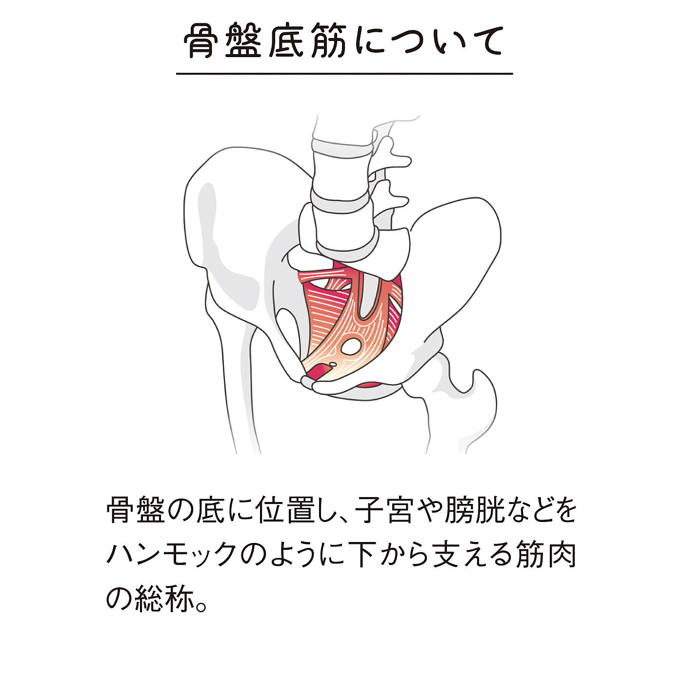 flufeel|骨盤まわりをきゅっと意識づけ　骨盤底筋クッション〈グリーン〉