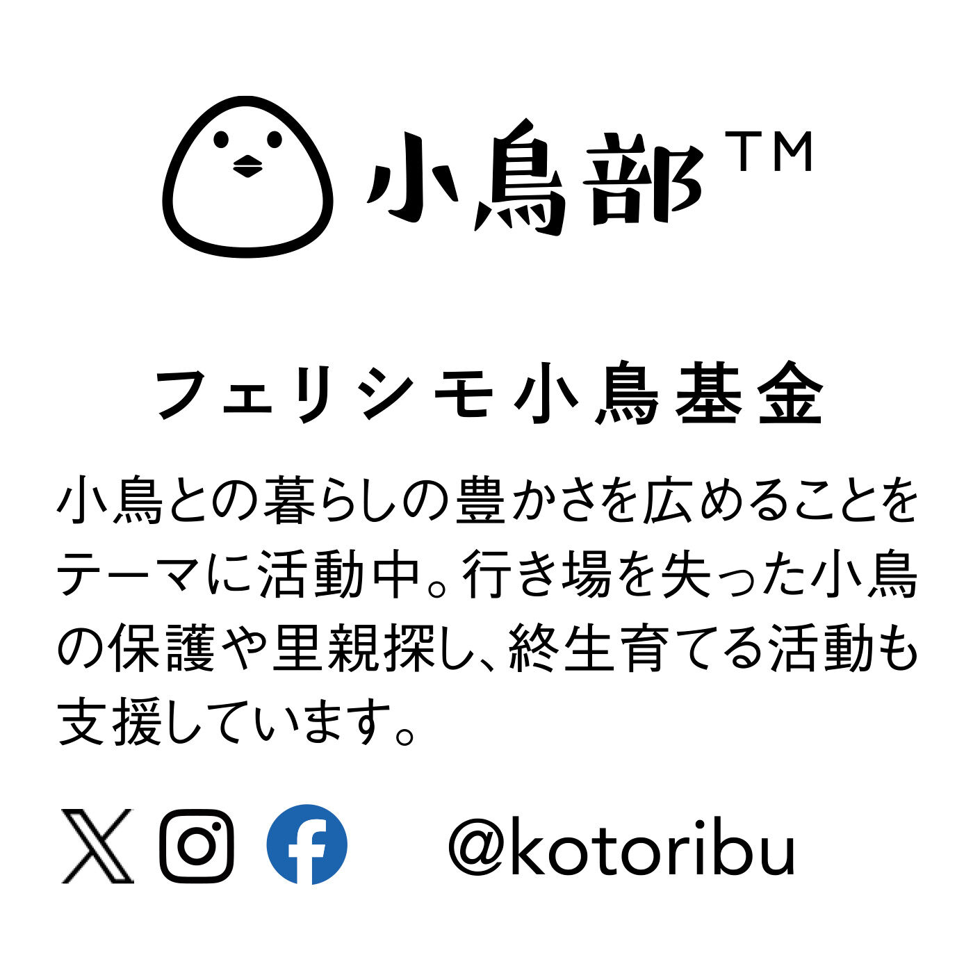 flufeel|flufeel×小鳥部　もっちり、はんなり 文鳥に埋もれる着るバスタオルの会