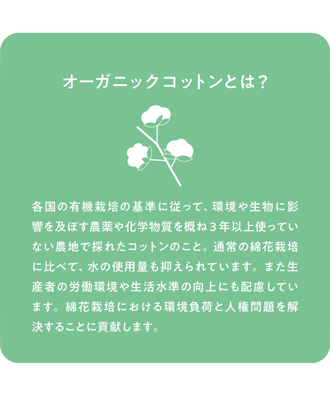flufeel［フラフィール］|ブルーデイのご自愛習慣　繰り返し使える　肌側オーガニックコットンの布ナプキン２枚組の会