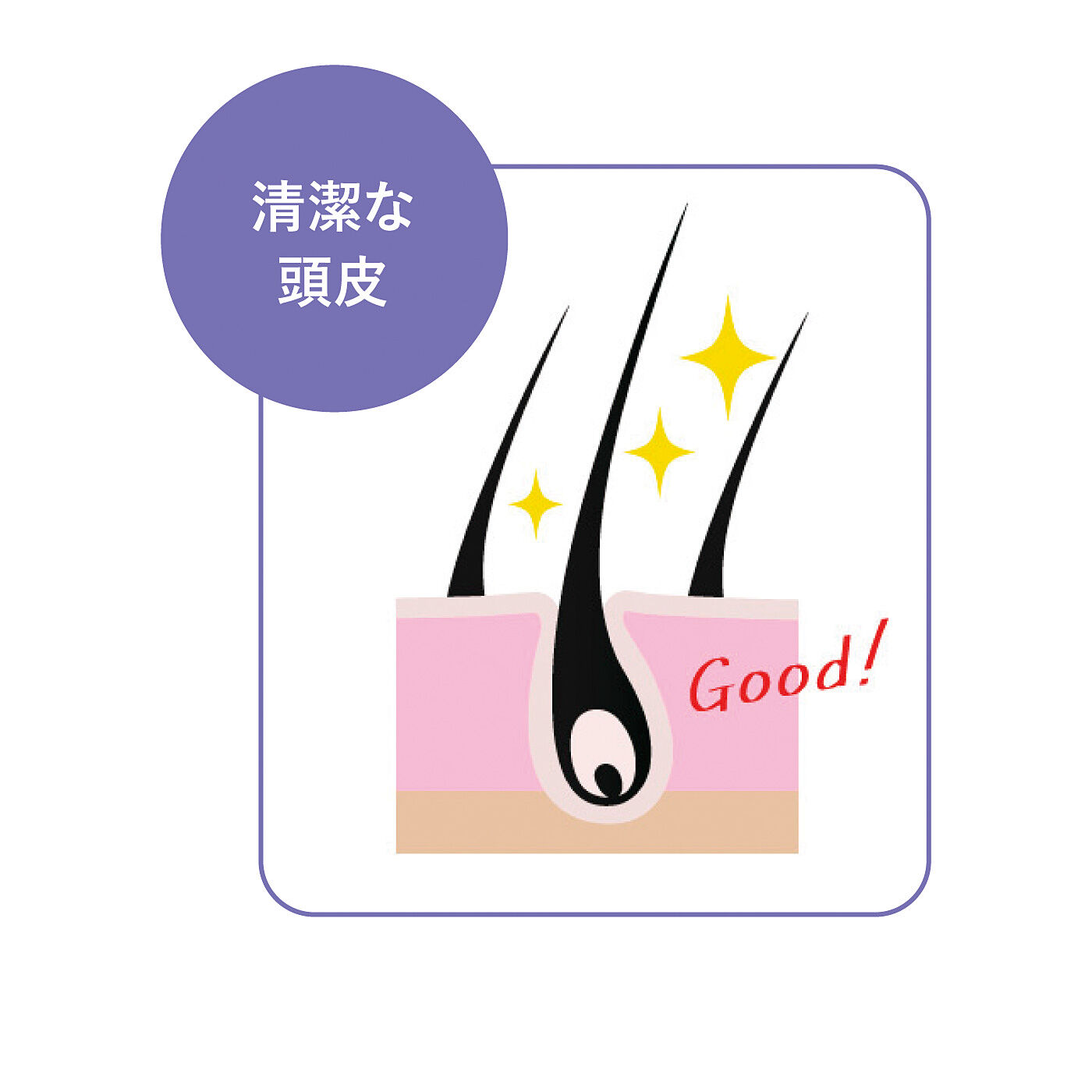 flufeel|手にフィットで地肌すっきり　マッサージしながら健康習慣　タングルティーザー　頭皮ケアブラシの会|ブラシで汚れをしっかり取り除き、清潔な頭皮へ。
