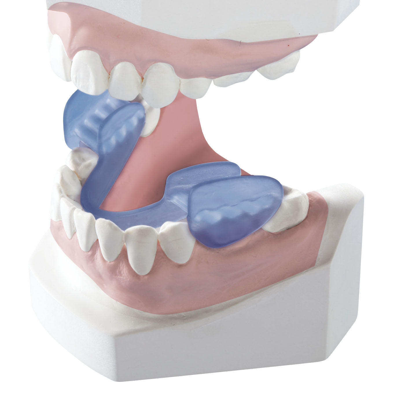 flufeel|波形状シリコーンが 歯圧を吸収！ 歯ぎしり対策マウスピース|奥歯にはめるだけのタイプなので、全体に装着するものよりも違和感が少なく快適に装着できます。
