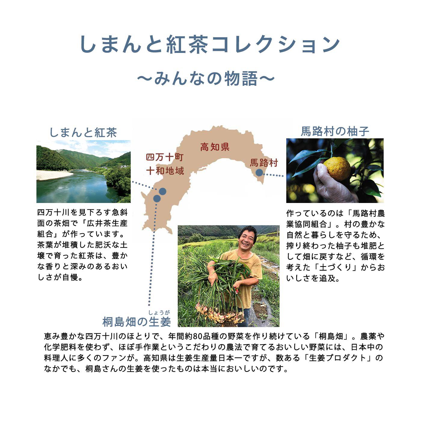 フェリシモの雑貨Kraso［クラソ］|高知より愛をこめて しまんと紅茶〈ティーバッグ〉の会