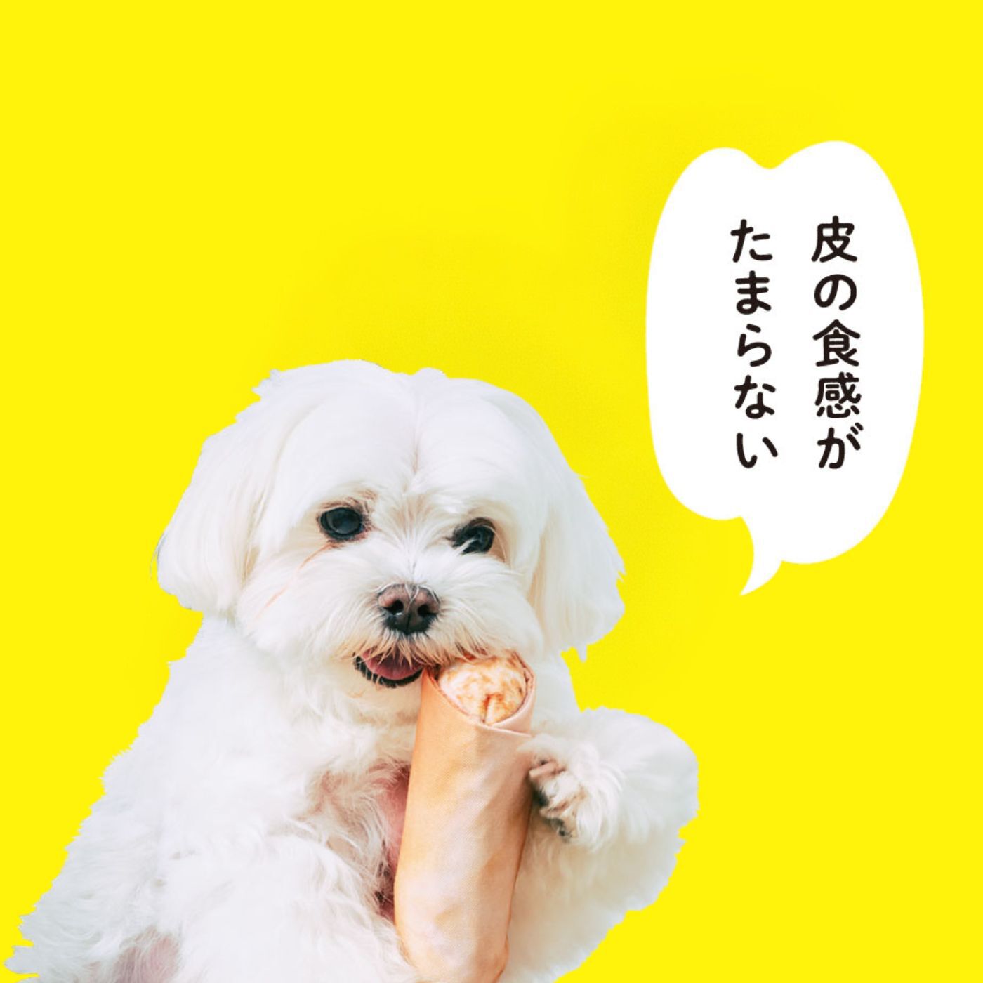 フェリシモの雑貨 Kraso|わんこのための本格中華を好きなだけ、犬七番飯店の会