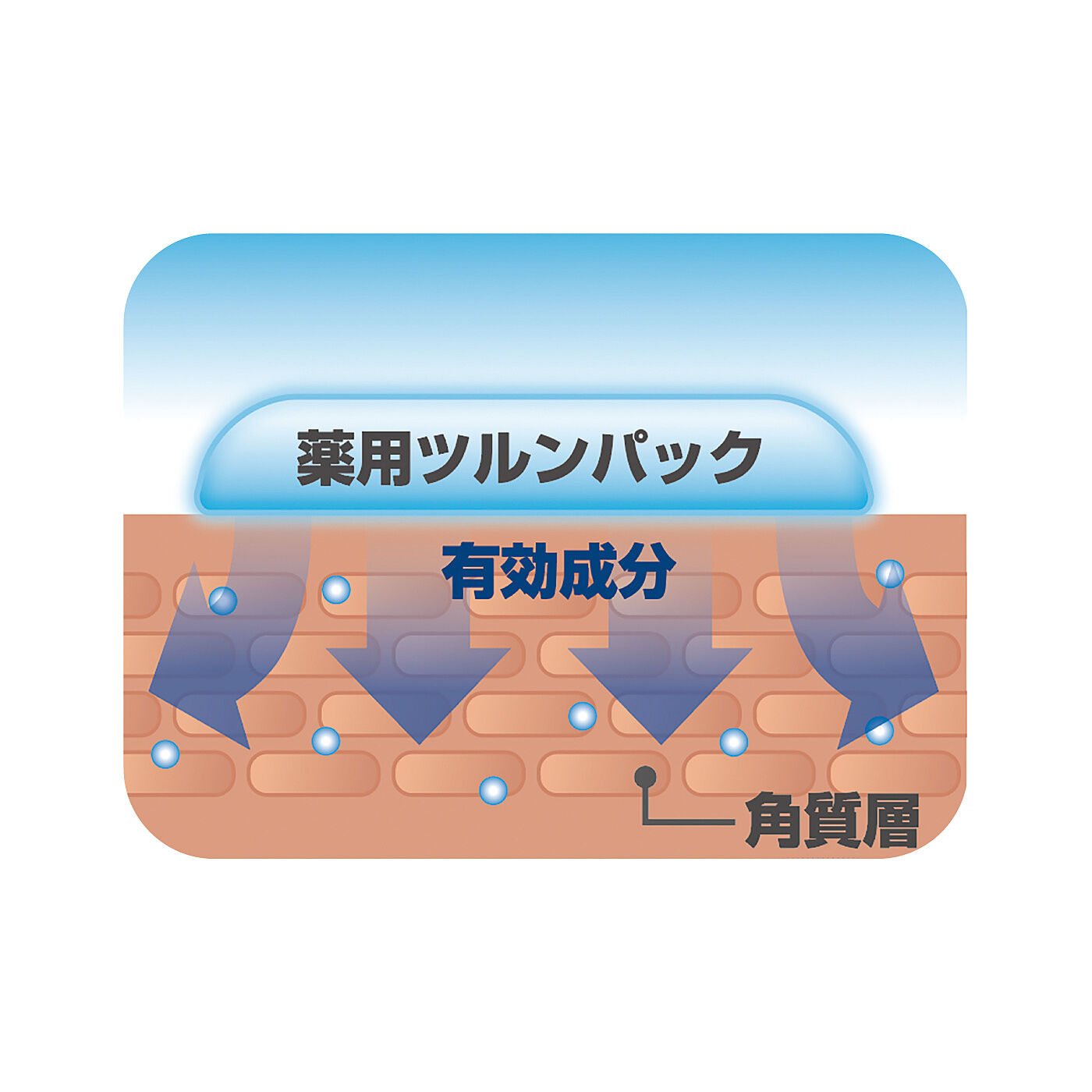 フェリシモの雑貨 Kraso|肌のポツポツとザラザラに　直接塗ってはがせる集中パック！薬用ツルンパックの会|気になるポツポツを包み込み、有効成分を角質層に浸透させる。