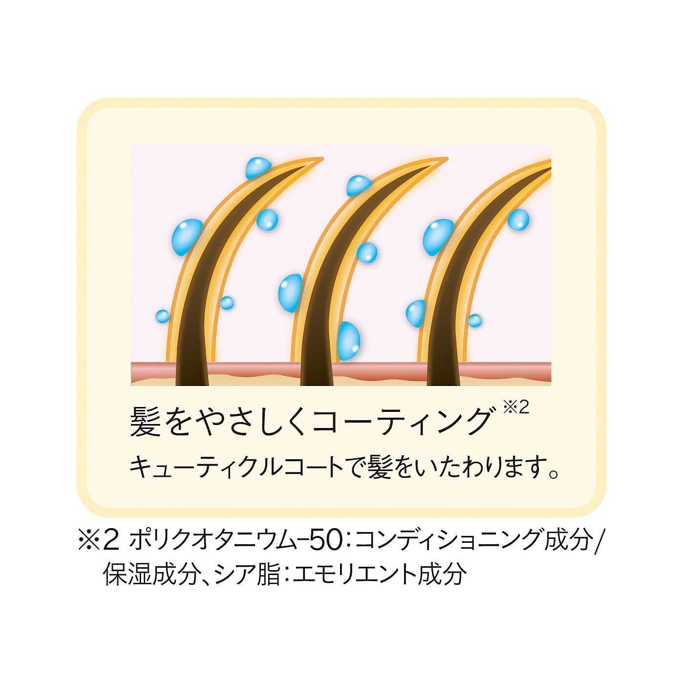 フェリシモの雑貨 Kraso|生え際白髪を狙い撃ち　クイックヤングヘアカラートリートメント〈ダークブラウン〉の会