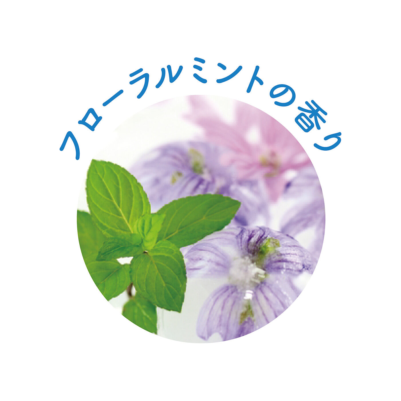 フェリシモの雑貨 Kraso|頭皮に塗ってスカッと冷感 ！うるおいを与えながら快適ヘアドライタイム　クールスカルプローションの会