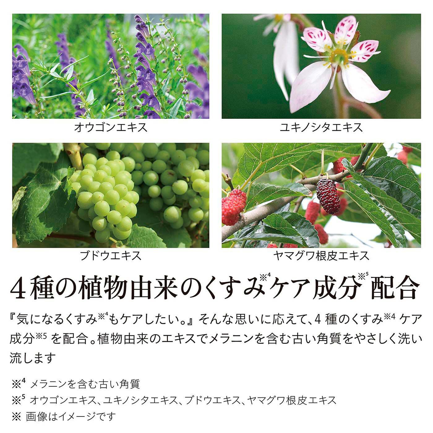フェリシモの雑貨 Kraso|iroha インティメートウォッシュ　フォームタイプ〈詰め替え用〉の会