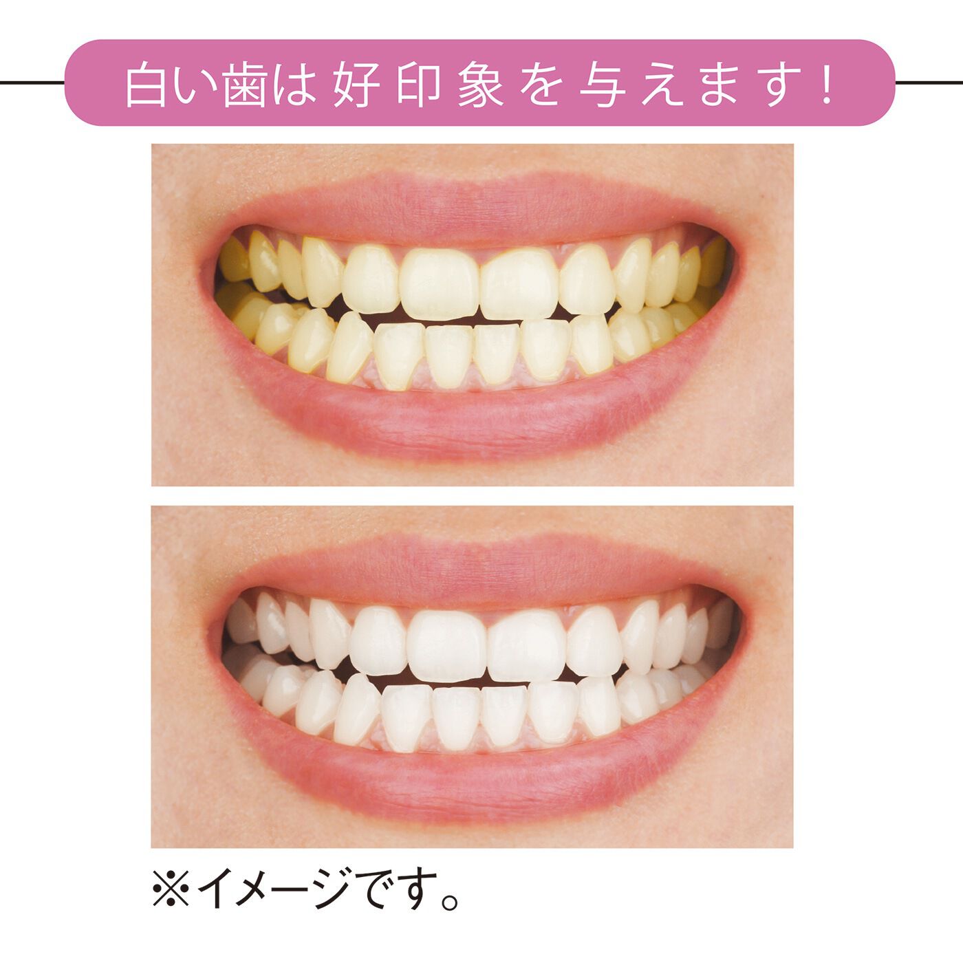 フェリシモの雑貨 Kraso|黄ばみにダイレクト！ 粉で磨く　Dr．オーラル　ホワイトニングパウダー40〈ミント〉の会