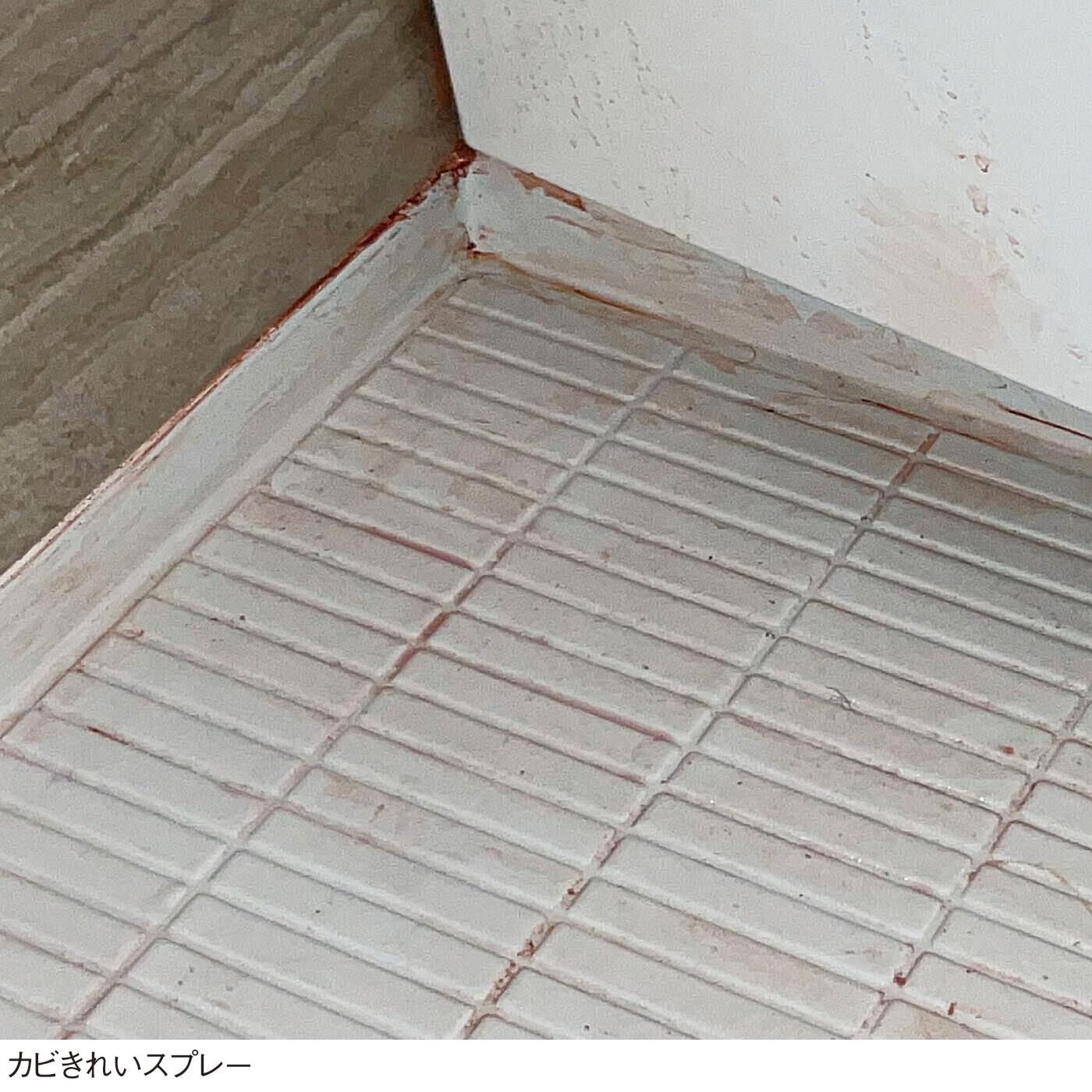 フェリシモの雑貨 Kraso|バイオのチカラ　お風呂防カビセットの会|高温多湿なお風呂場はカビの温床に。