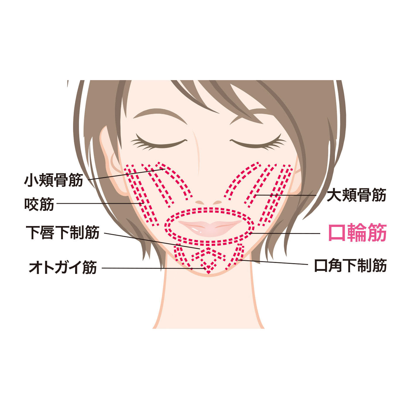 フェリシモの雑貨Kraso［クラソ］|口もとキュッ！ くわえて簡単振動筋トレ ブルブルブル子|口もとの筋肉は、若々しさの要