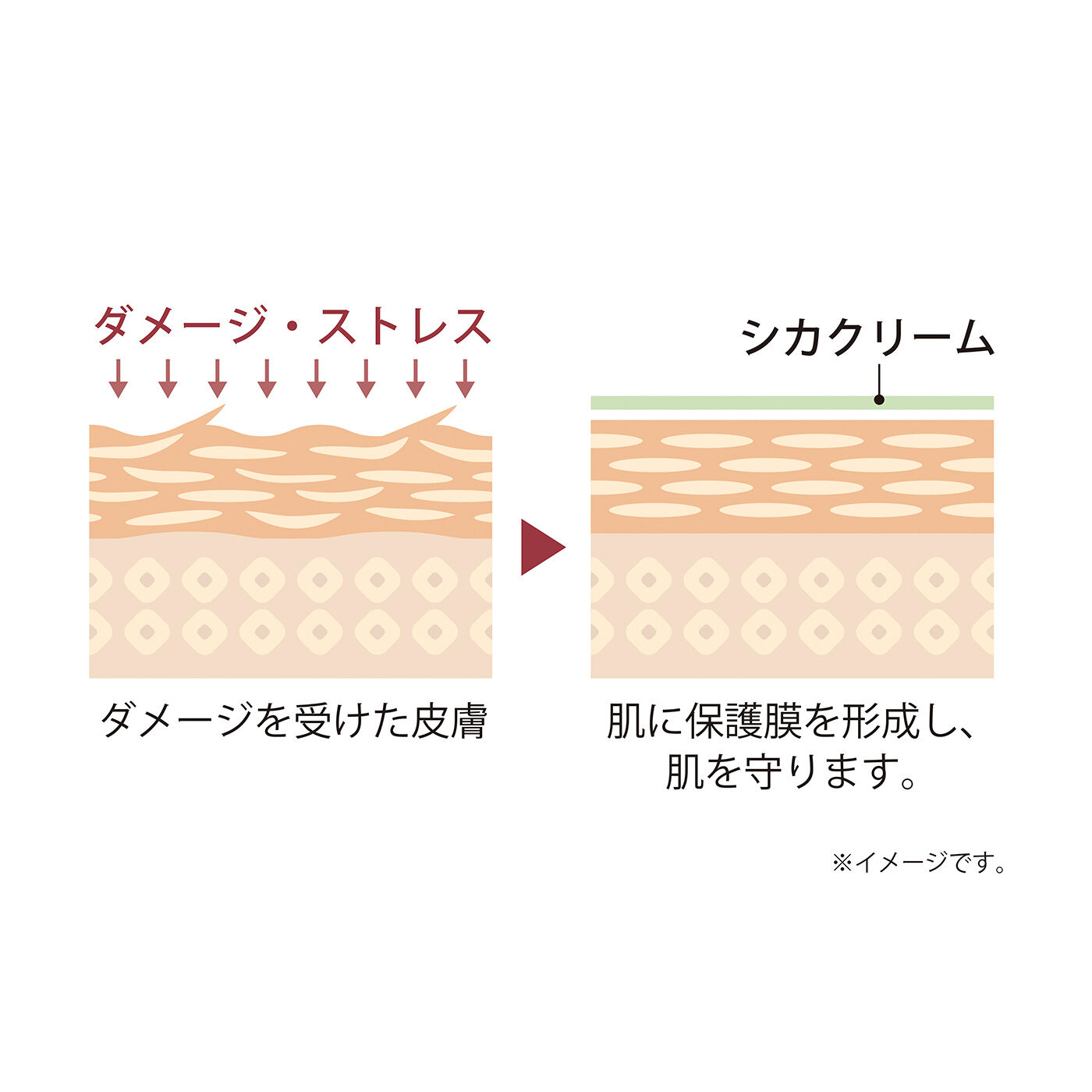フェリシモの雑貨 Kraso|CICA method　薬用クリームの会