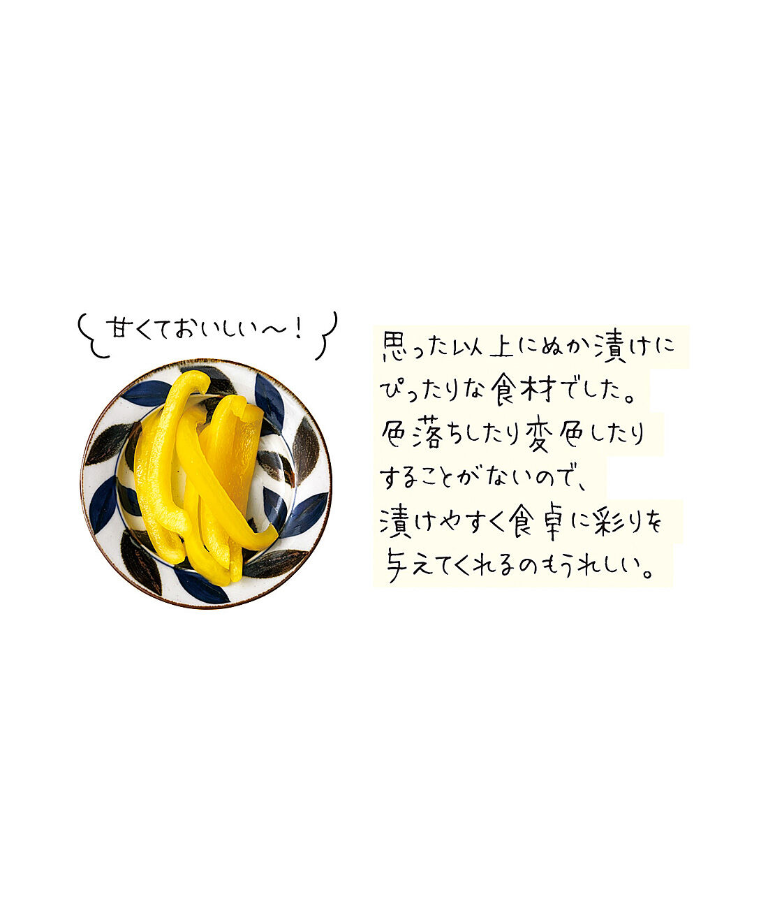 フェリシモの雑貨 Kraso|ラップで手軽にぬか漬けができる　ぬかどこチューブ〈２本〉
