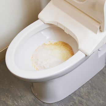 フェリシモの雑貨 Kraso | ヨウ素のチカラ入れるだけトイレ泡クリーナー