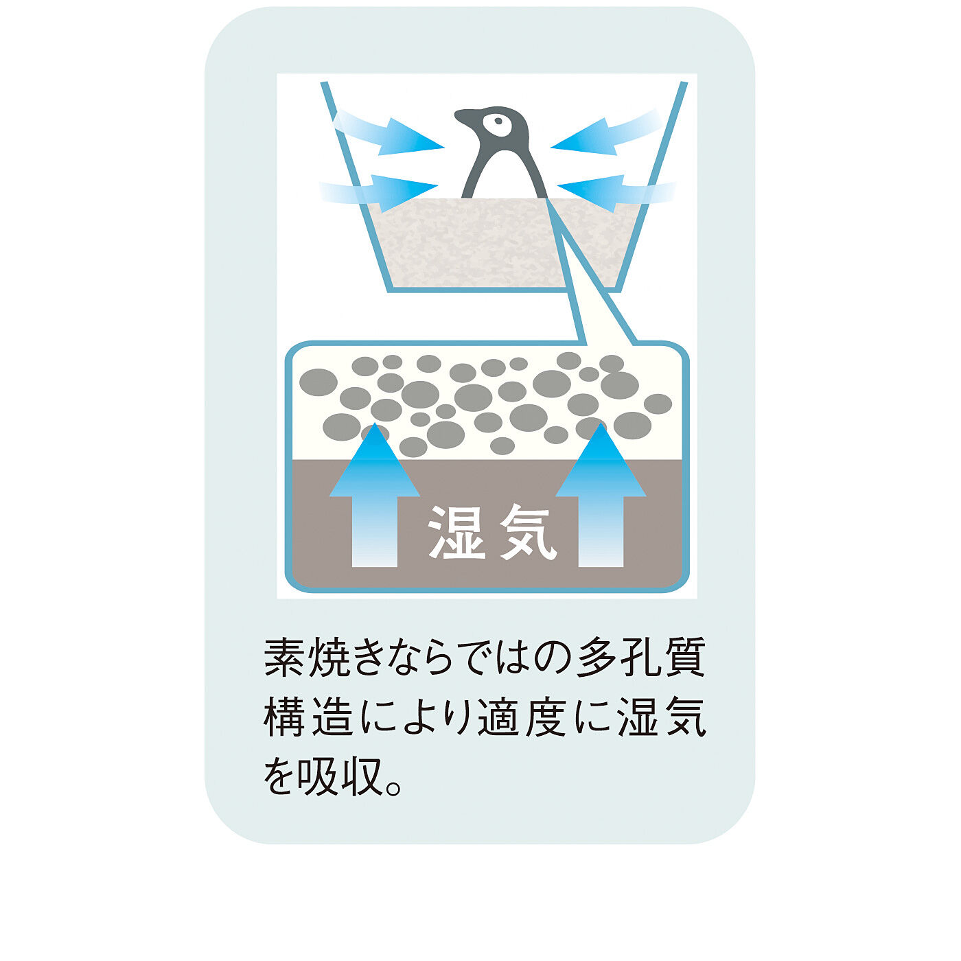 フェリシモの雑貨 Kraso|調味料から顔をのぞかせる　湿気を取って大さじ１／２が量れる　素焼きペンギンスプーンの会