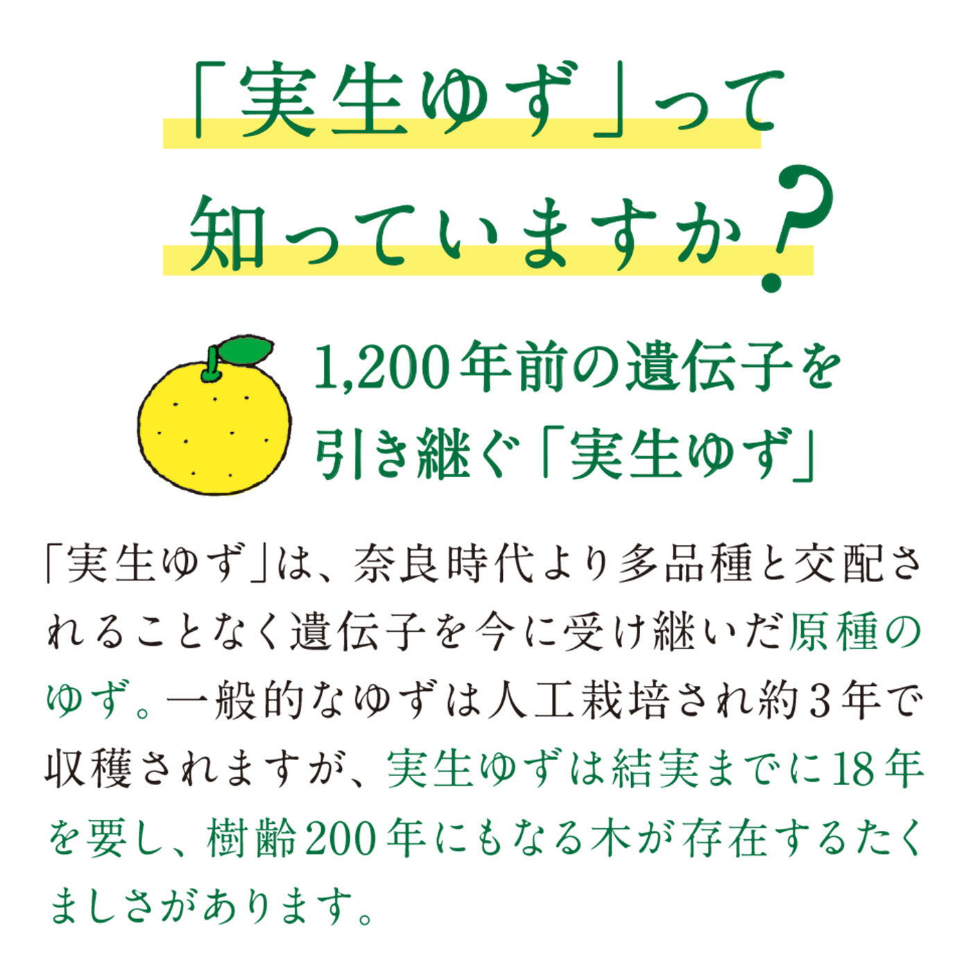 フェリシモの雑貨 Kraso|日本人の心のふるさと里山からの贈りもの　実生（みしょう）ゆず果実丸ごとクリスタルキャンディー