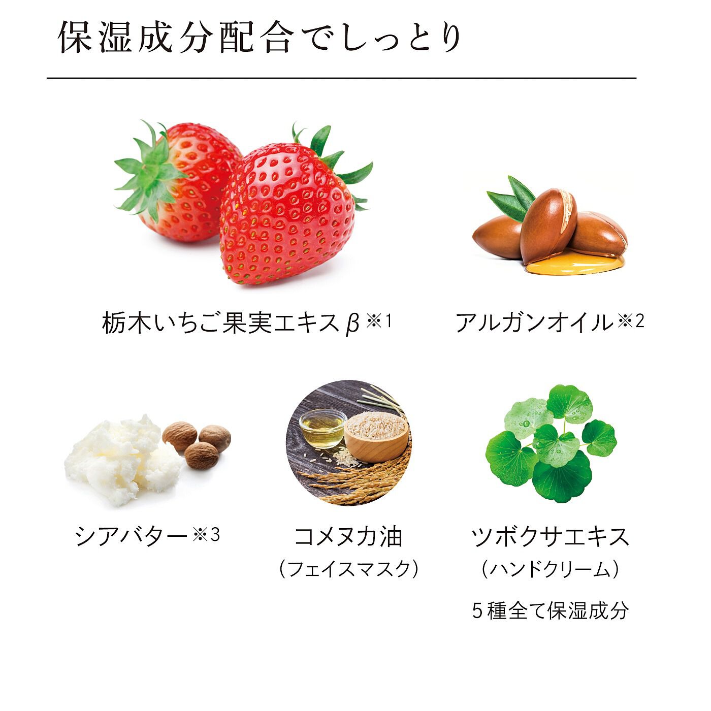 フェリシモの雑貨 Kraso|栃木いちご　ジューシーフェイスマスク〈４枚セット〉の会|廃棄いちごから独自に抽出した栃木いちご果実エキスβ※1をはじめ、ツボクサエキスなどの保湿成分を配合。※1.いちご果実エキス ※2.アルガニアスピノサ核油 ※3.シア脂