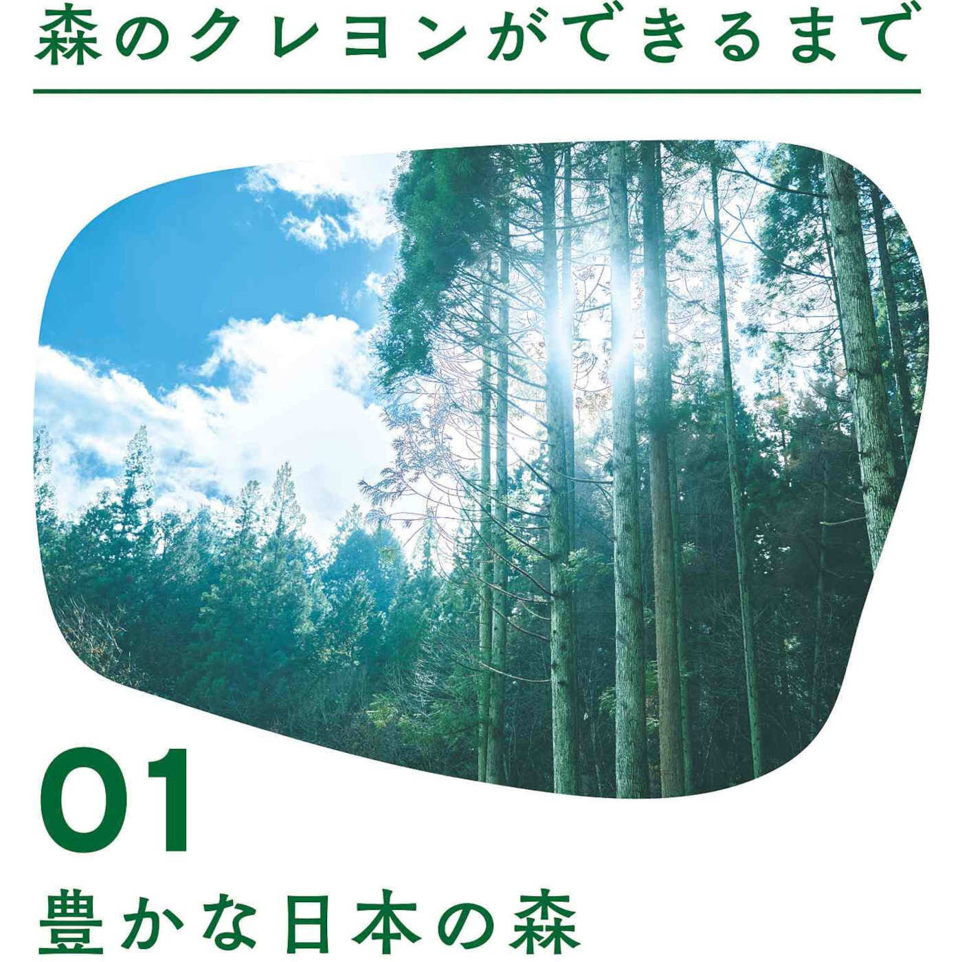 フェリシモの雑貨 Kraso|木の色の豊かさをみつける 森のクレヨン