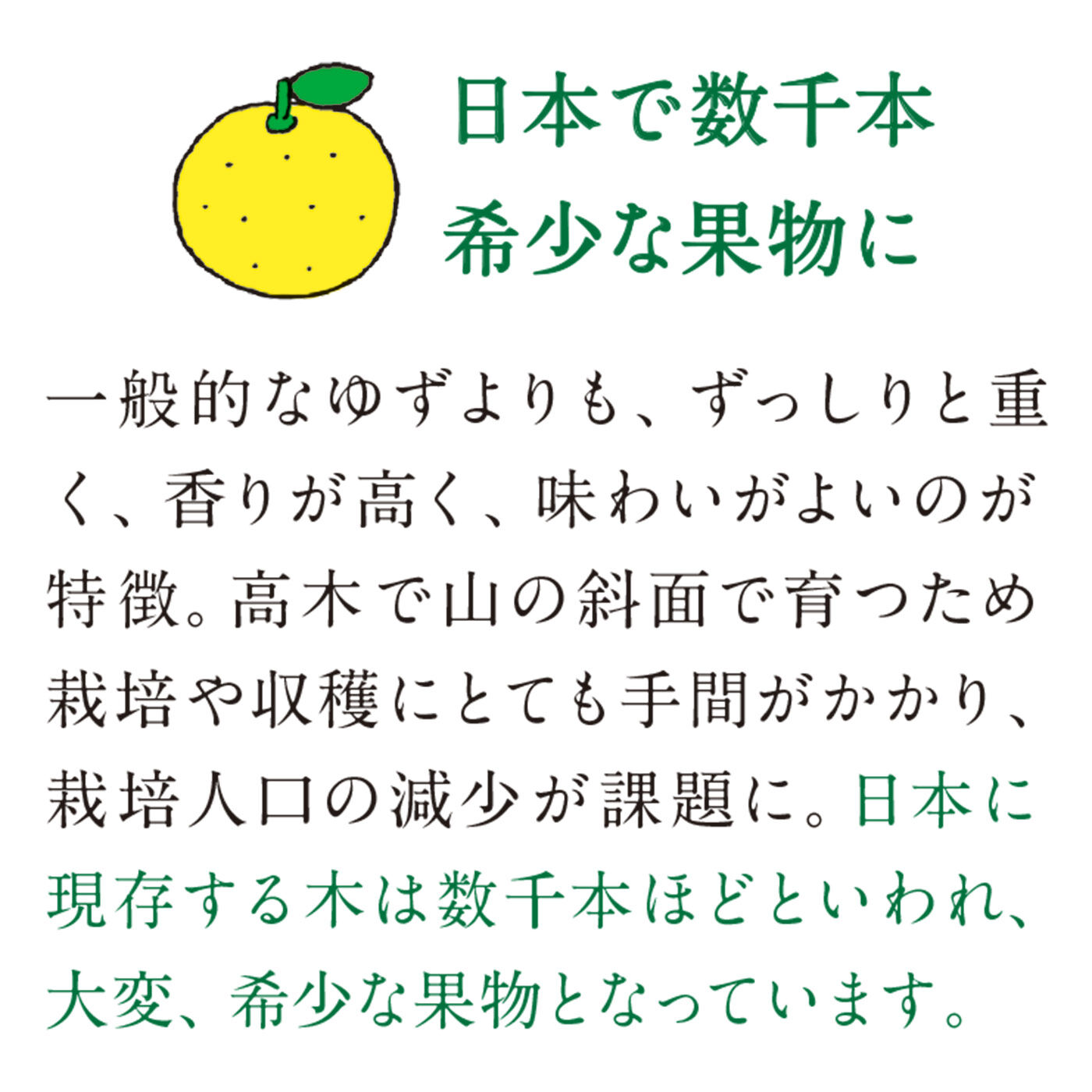 フェリシモの雑貨 Kraso|日本人の心のふるさと里山からの贈りもの　実生（みしょう）ゆず果実丸ごとクリスタルキャンディー