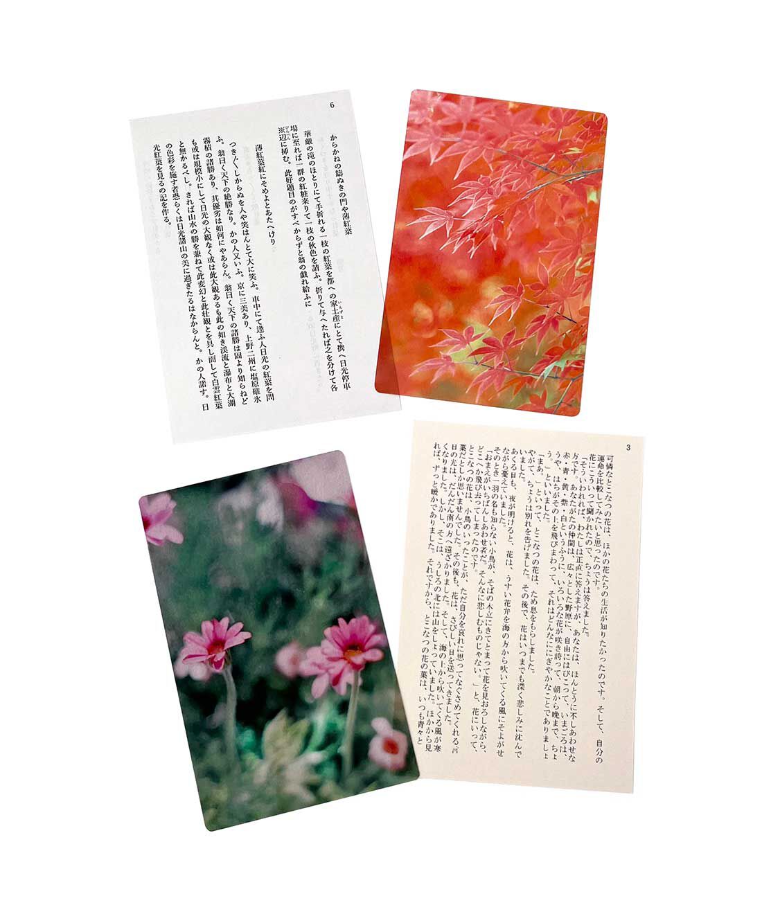 フェリシモの雑貨 Kraso|本好きさんに贈る「透明しおり」２種類セット〈風景〉の会|●1回のお届けセット例です。透明しおり2枚セット（柄違い）。上：紅葉 下：ローダンセマム 。文庫本サイズの素敵な台紙にセットしてお届けします。