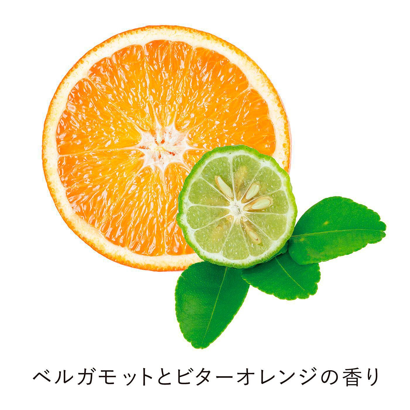フェリシモの雑貨 Kraso|iroha インティメートウォッシュ　フォームタイプ〈詰め替え用〉の会